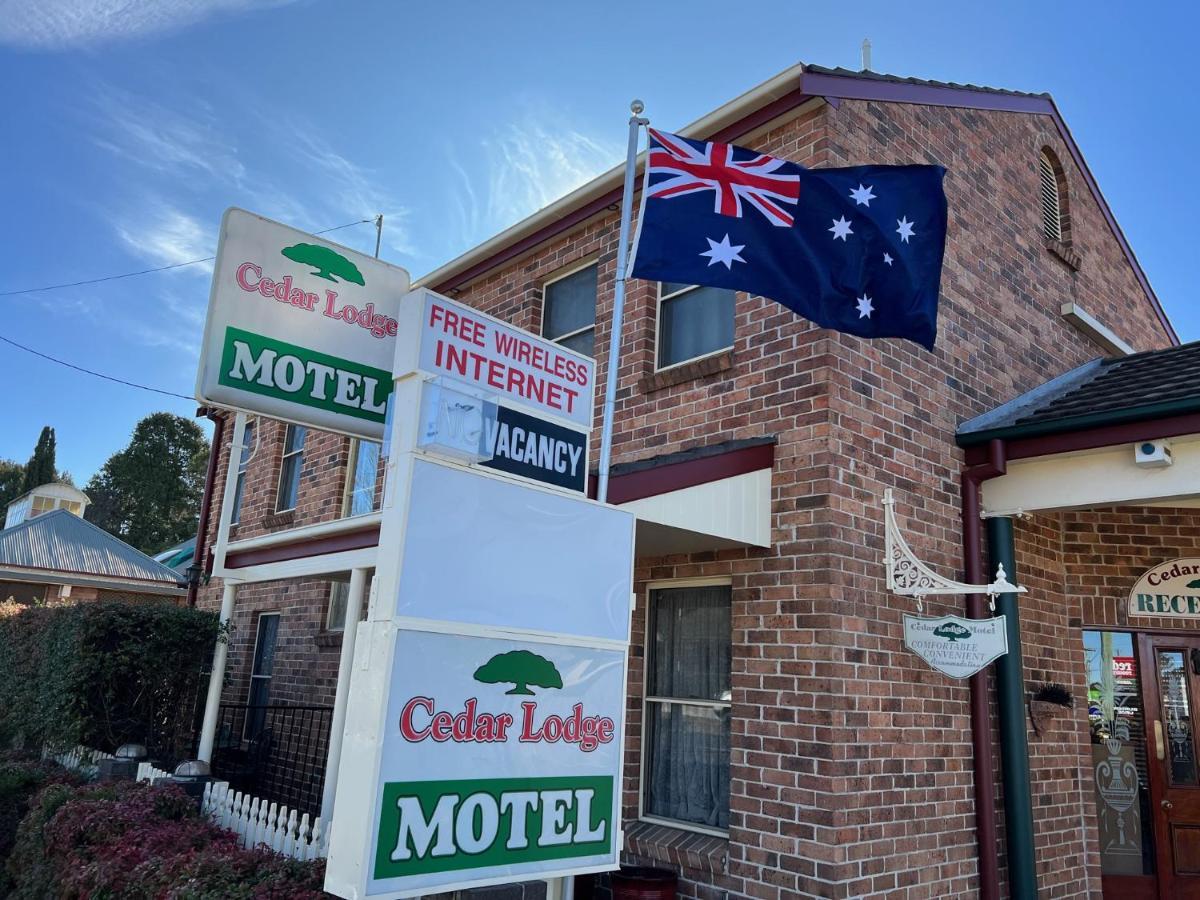 Cedar Lodge Motel 아미데일 외부 사진